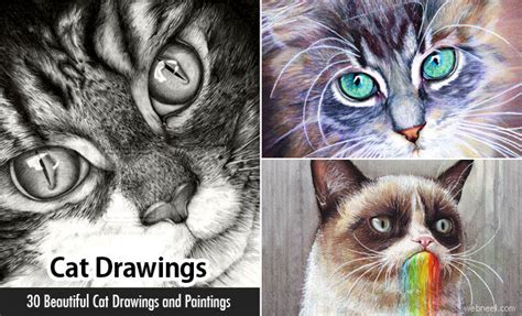 30 Beautiful Cat Drawings Best Color Pencil Drawings And Paintings