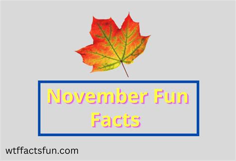 Top 20 November Fun Facts 2023 Fun Facts