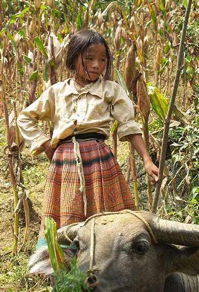 Enfant Hmong Fleur Enfants Bắc Hà Hanoi et le Nord Vietnam Routard com