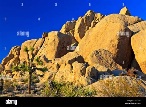 Joshua Tree National Park Mojave Desert California Usa Stock Photo