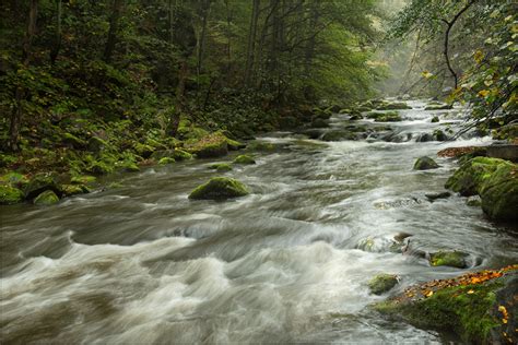 Am Schönen Bode Fluss Foto And Bild Landschaft Bach Fluss And See