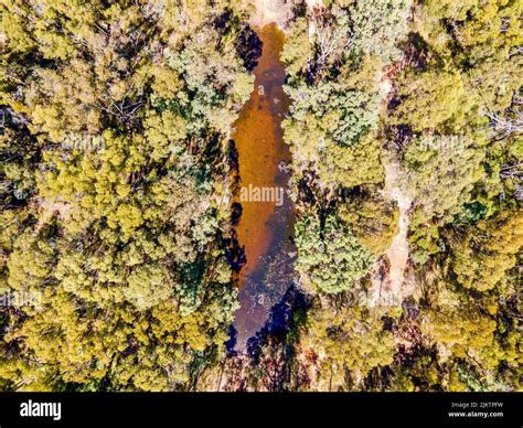 An Aerial View Of The Lush Green Forests Of Emmaville Australia With A