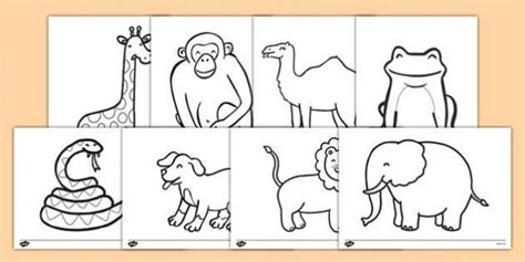 Dear Zoo Colouring Sheets Dear Zoo Kindergarten Coloring Pages