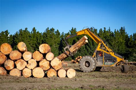 10 Facts You Didnt Know About The Logging Industry