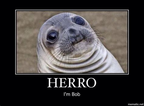 Funny Seal Meme Haha