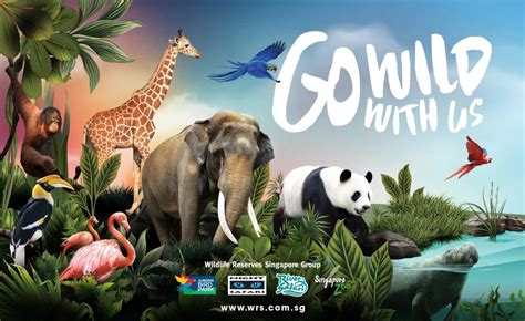 Mandai Wildlife Reserve Multi Park Bundles Singapore Zoo River