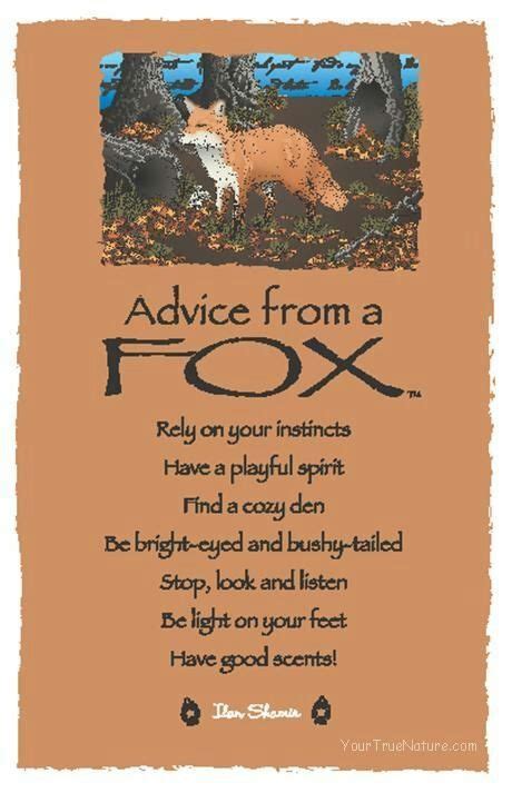 Familiarspirit Animals Fox Pagans And Witches Amino