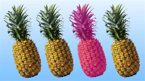 Breaking Now Pineapples Come In Millennial Pink Sheknows