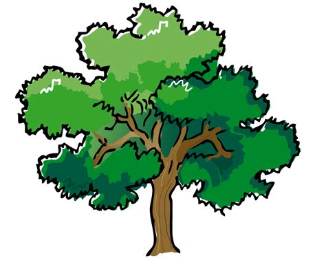 Web Development | Picture tree, Tree outline, Tree ...