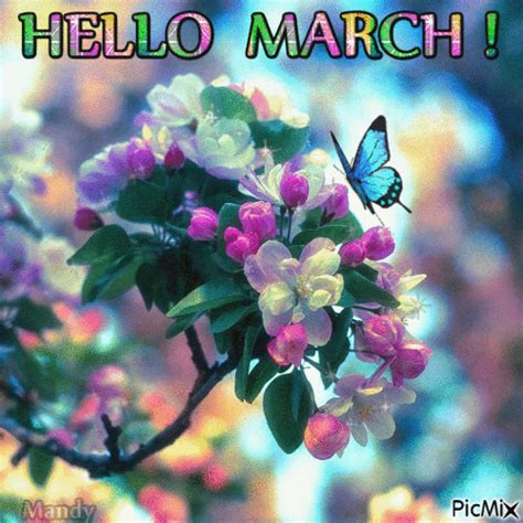 Butterfly On Branch Of Flowers Hello March Pictures Photos And