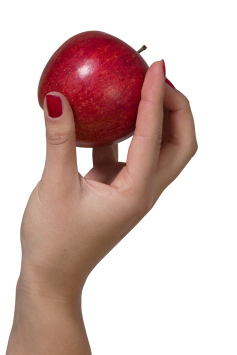 Apple In Hand Png Image Purepng Free Transparent Cc0 Png Image Library