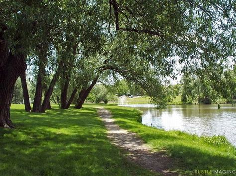 A Summer Stroll Along Fairy Lake In Newmarket Ontario Park Trails