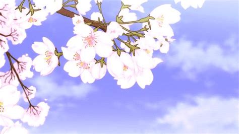 Flower Blossoms Anime Scenery Anime Background Aesthetic Anime
