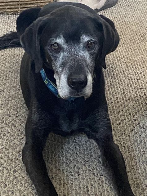 Monthly AmEx Referral Thread : r/amex