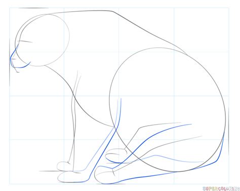 Last bing queries pictures for simple bear head drawing. How to draw a black bear | Step by step Drawing tutorials