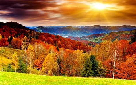 1920x1080px 1080p Free Download Autumn Scenery Forest Autumn Sun
