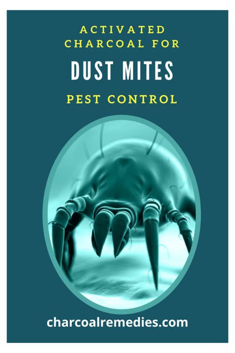 Dust Mites Charcoal Remedies