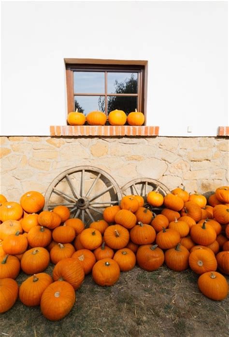 Laeacco Autumn Harvest Pumpkins Wheels Window Scene Photography