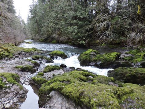 Spend Some Time At A Thurston County Park Thurstontalk