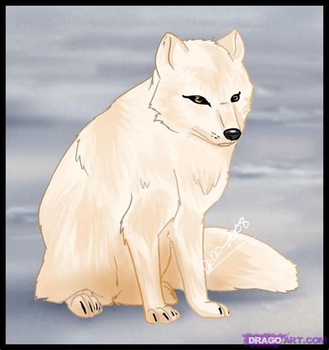 How To Draw A Realistic Arctic Fox At How To Draw