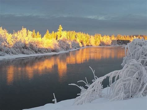 Chena River Near Fairbanks Alaska Alaska Pictures Alaskan Cruise