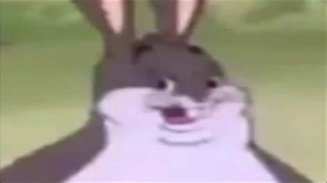 The Best Big Chungus Memes Plus Meaning And Backstory