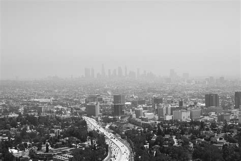 Los Angeles City Landscape Free Photo On Pixabay Pixabay