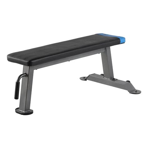 Proform Carbon Strength Flat Workout Bench For Weight Training With