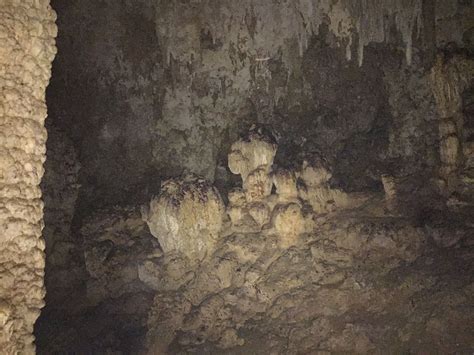 Cueva Del Viento Guajataka Forest Isabela Puerto Rico Puerto Rico