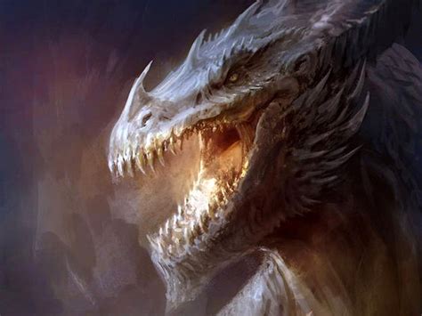 Super Cool Dragon Wallpapers Top Free Super Cool Dragon Backgrounds