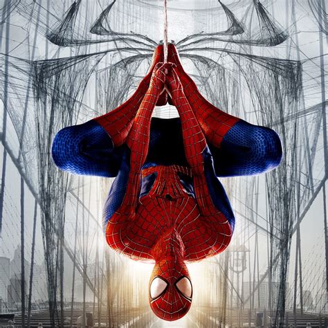 The Amazing Spider Man 2 Pfp