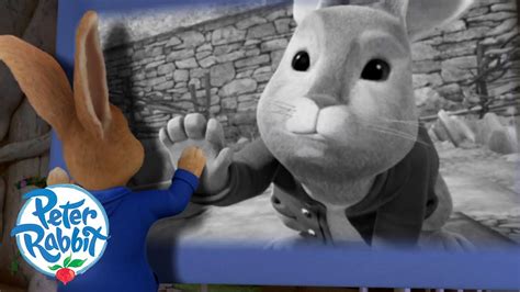 Peter Rabbit Meet Peter Rabbits Late Father 🎥🐰 Meet The