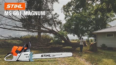 Stihl Ms 661 Magnum Chainsaw Review And Field Test Youtube