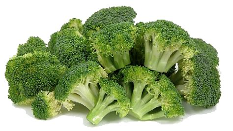 Broccoli Png Png All Png All