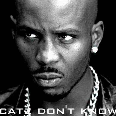 Dmx Catz Dont Know Kjuus Remix By Kjuus Eivind Kjuus Free