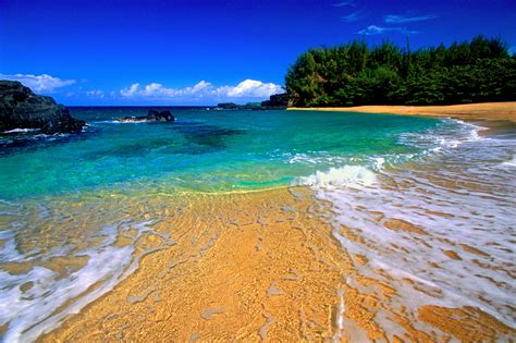 Beach In Kauai Hawaii