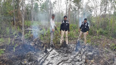 Polisi Amankan Pembakar Hutan Dan Lahan Prokalteng