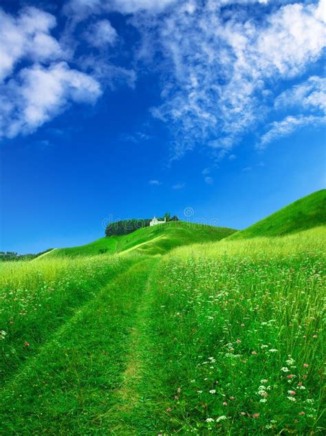 Beautiful Summer Landscape Stock Image Image Of Panoramic 5175895