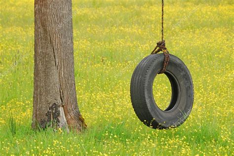 Tire Swing In Yellow Stock Photo By ©dpfoxfoto 39491553