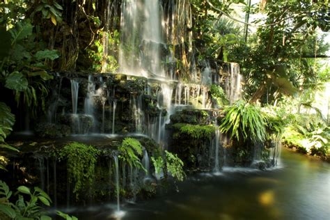 A Very Beautiful Waterfall In The Rainforest Smithsonian Photo