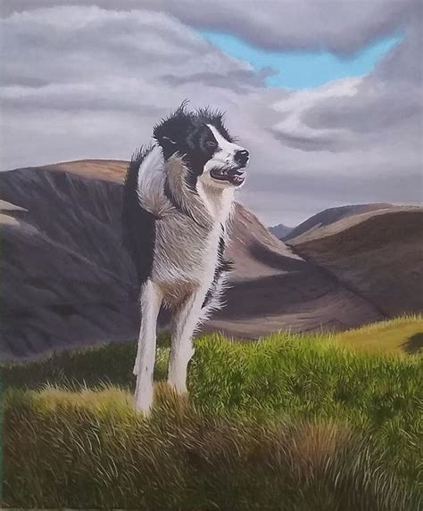 Australian Shepherd Painting By John Lacroix Fine Art America