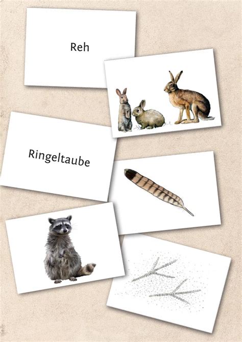 Tierspuren zum ausdrucken kostenlos : Tierspuren Zum Ausdrucken Kostenlos - Eins Zu Eins ...