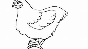 Ausmalbilder zum Drucken Malvorlage Huhn Henne kostenlos 2
