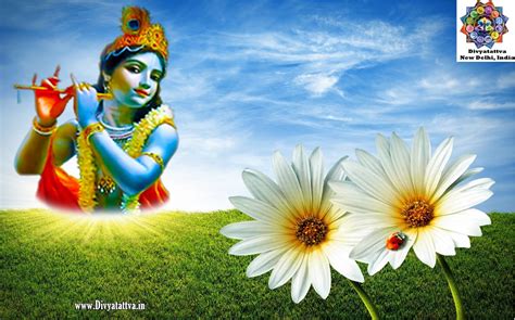 Best Collection of Lord Krishna Images in HD 1080p and Full 4K Quality