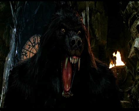 Follow the vibe and change your wallpaper every day! 71+ Van Helsing Werewolf Wallpapers on WallpaperSafari