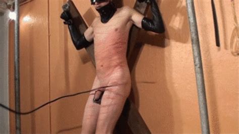 Extreme Cock And Ball Bullwhipping To Men Clips4sale