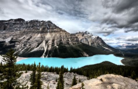 Free Download Turquoise Peyto Lake Canada National Park Photo Wallpaper