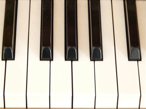 Piano Ivory Keys Free Image Download