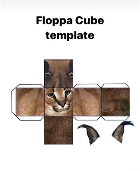 Floppa Cube Template Ifunny