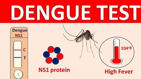 Dengue Symptoms Transmission And Diagnosis Youtube